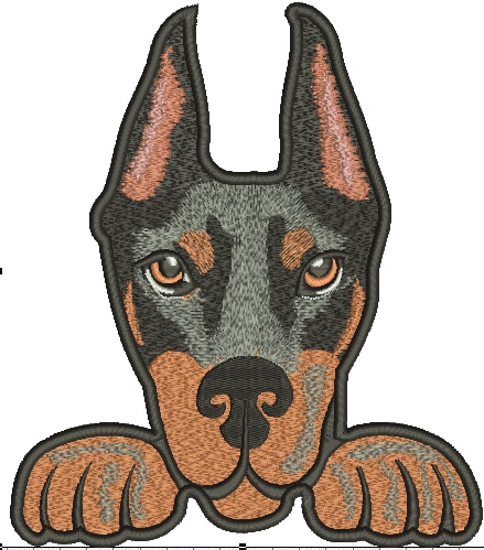 Doberman Peeking Dog Machine Embroidery Design 