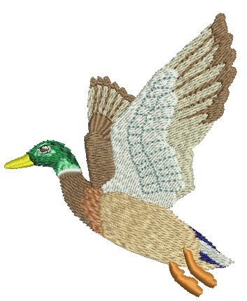Mallard Duck Machine Embroidery Design 
