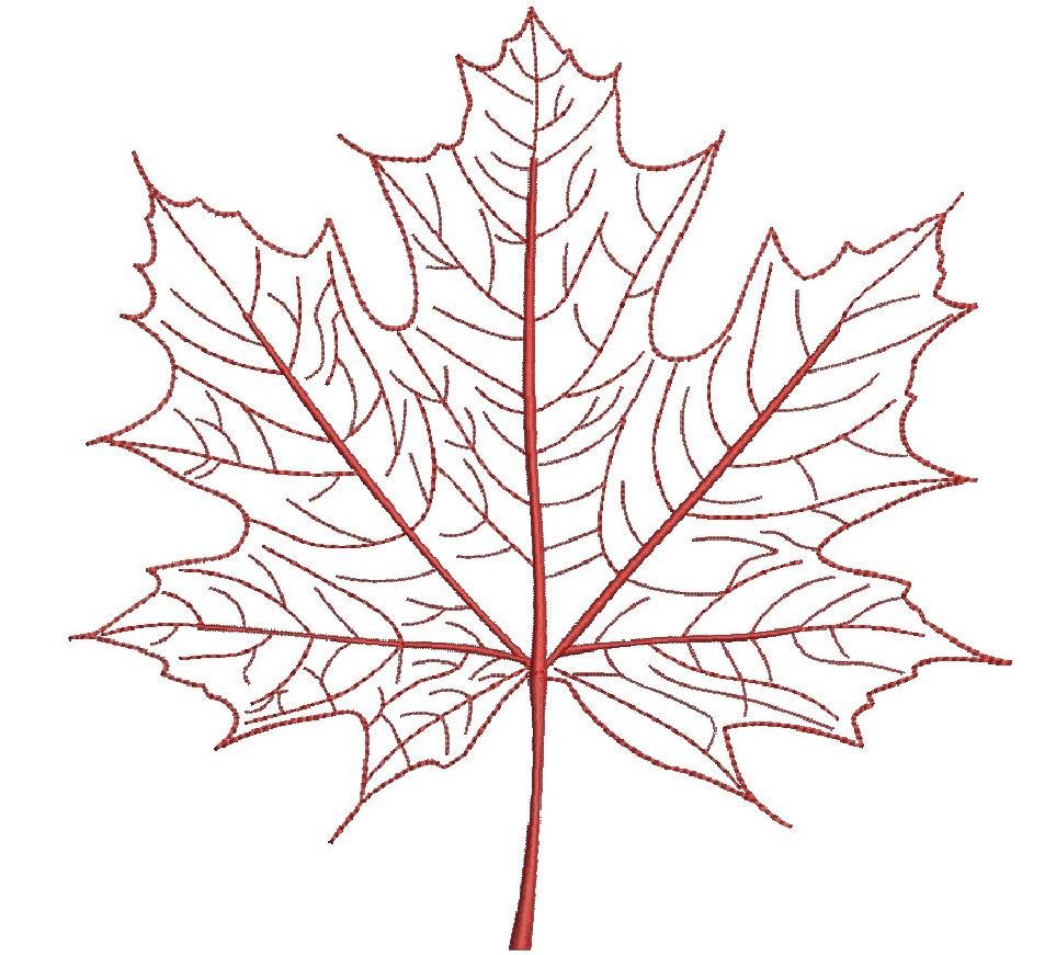 Sugar Maple Leaf Machine Embroidery Design Autumn Fall 4 Sizes 