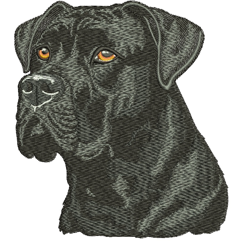Cane Corso Dog Machine Embroidery Design, Dense Stitch Style, Large Hoop Format  