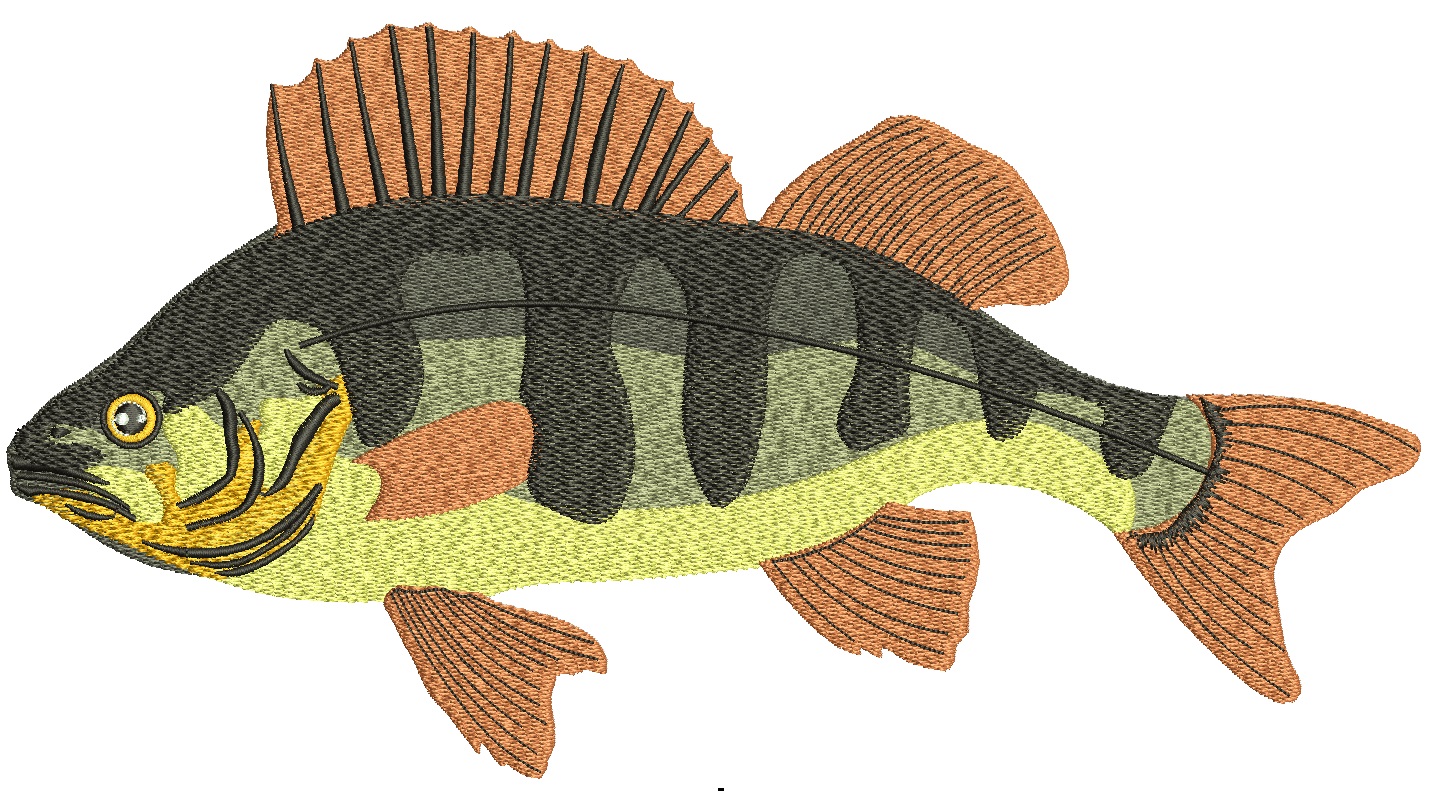 Yellow Perch Fish Machine Embroidery Design, Striped Freshwater Sport Fishing Digital File, River Animal Pattern