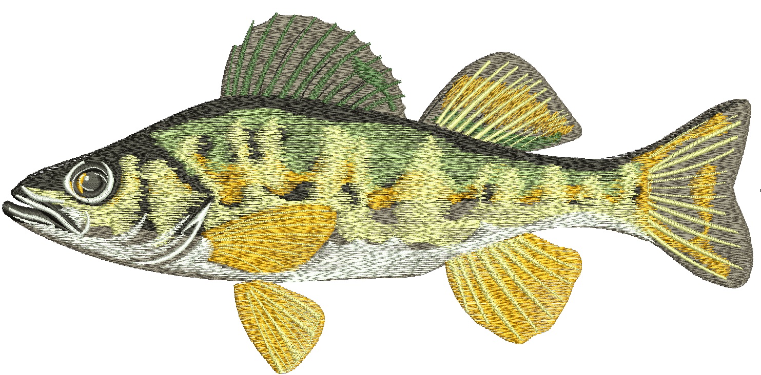 Perch Fish Machine Embroidery Design, Striped River Sport Fishing Digital File, Freshwater Animal Pattern