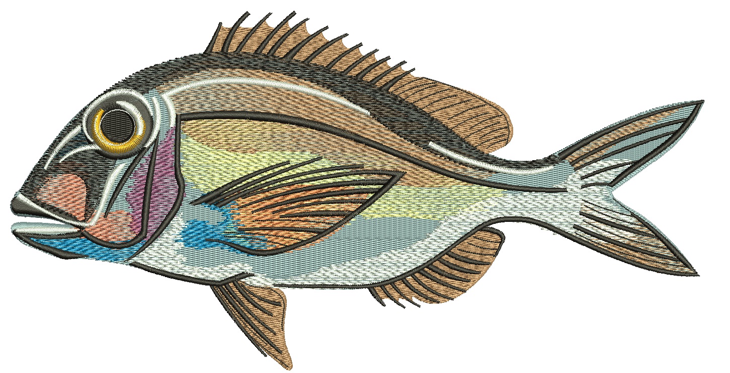 Brown Sea Fish Machine Embroidery Design, Detailed Ocean Animal Pattern 07102026