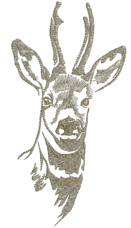 Roe Deer Head Machine Embroidery Design, Wild Animal Portrait Pattern 