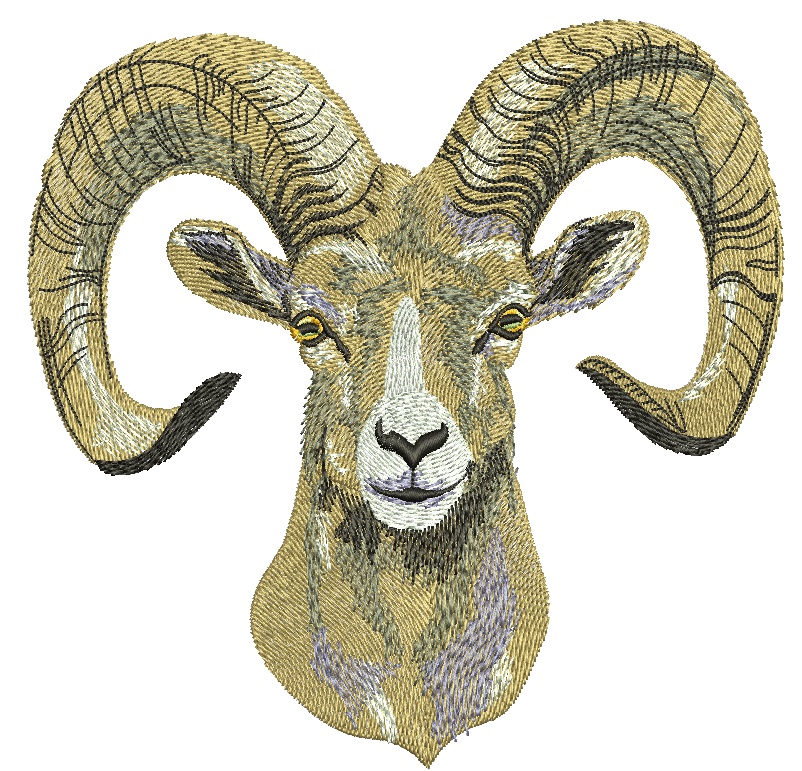 Ram Head Machine Embroidery Design, Wild Mountain Sheep Horns Pattern 
