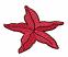 Sea star,  Size: 2.72 x 2.19,  Stitches: 5541,  Colors: 2