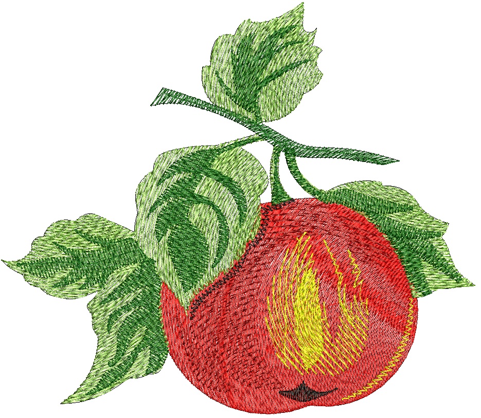 Apple with Leaves Machine Embroidery Design Red Fruit 3 Sizes 