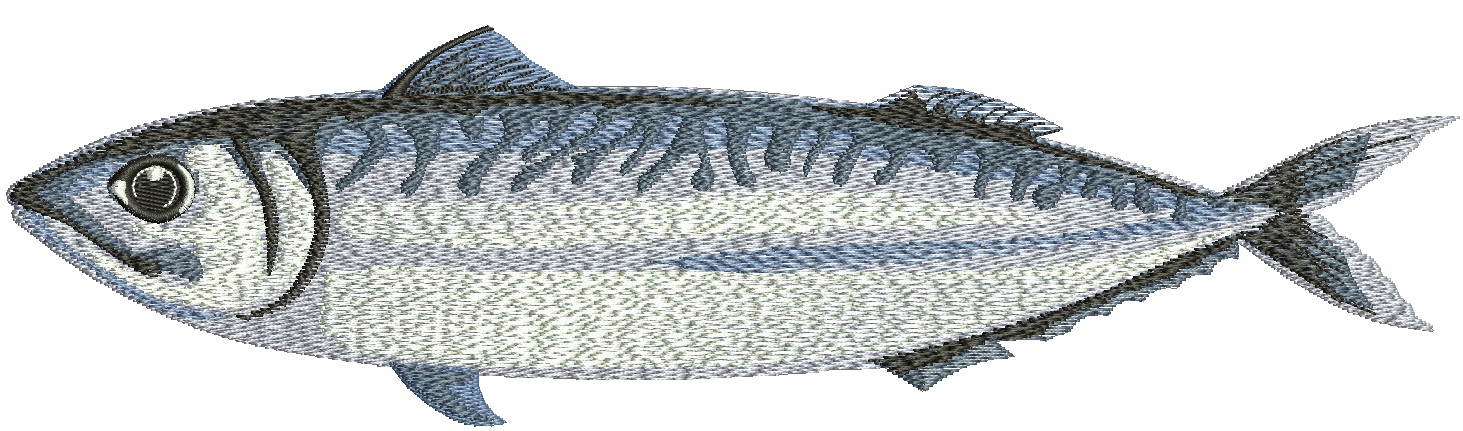Mackerel Fish Machine Embroidery Design, Sea Animal Motif Pattern 