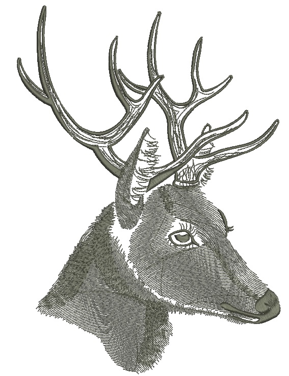 Deer Head with Horns Machine Embroidery Design, Majestic Buck Antlers Pattern 