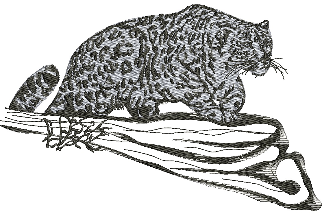 Snow Leopard Machine Embroidery Design, Wild Cat Big Cat Embroidery File  