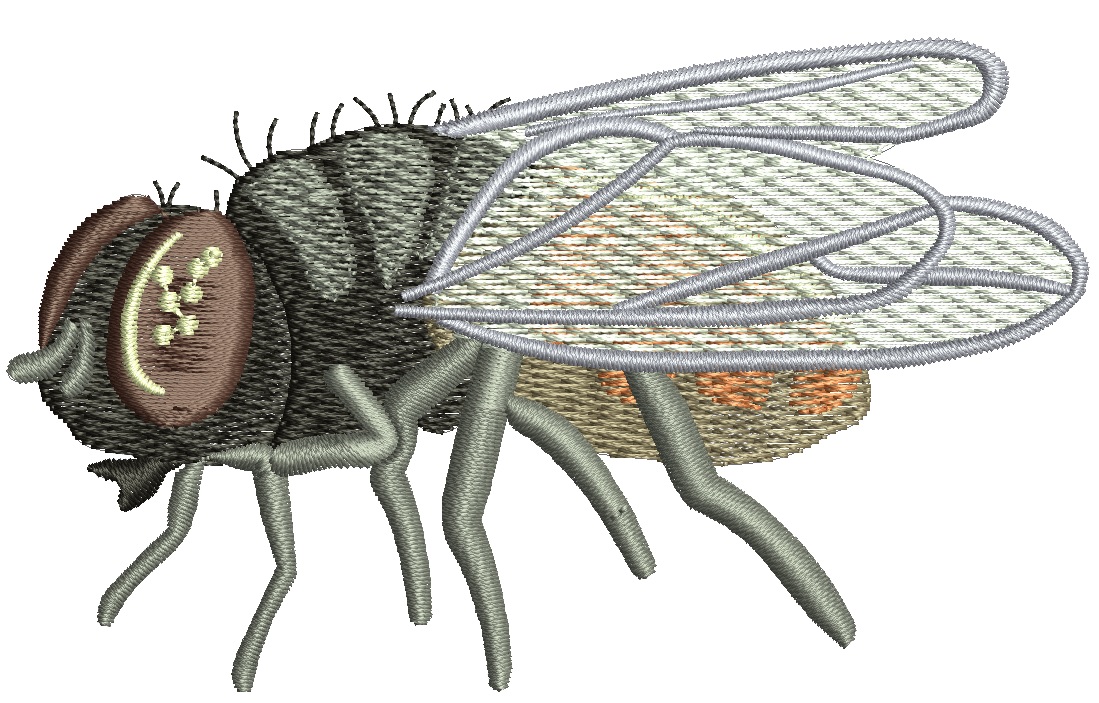 Housefly Machine Embroidery Design 