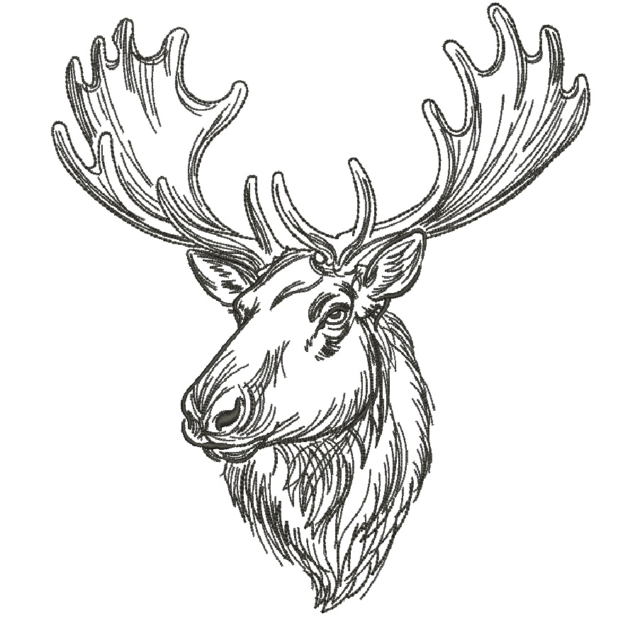 Moose Head Machine Embroidery Design, Sketch Style Forest Animal Pattern, Multi Size Digital File