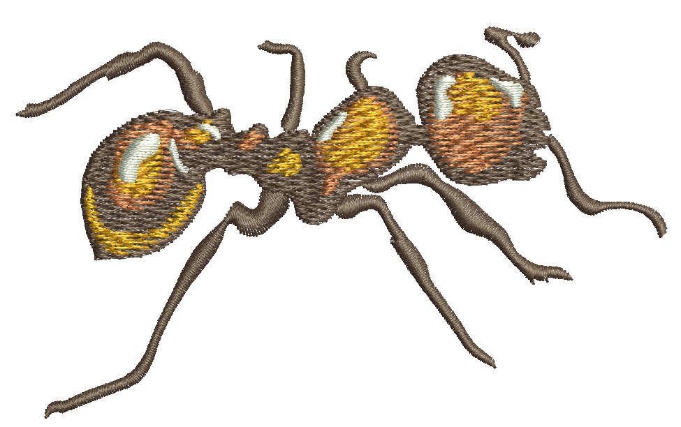 Realistic Ant Machine Embroidery Design - Highly Detailed & Tested - Three Sizes Included 