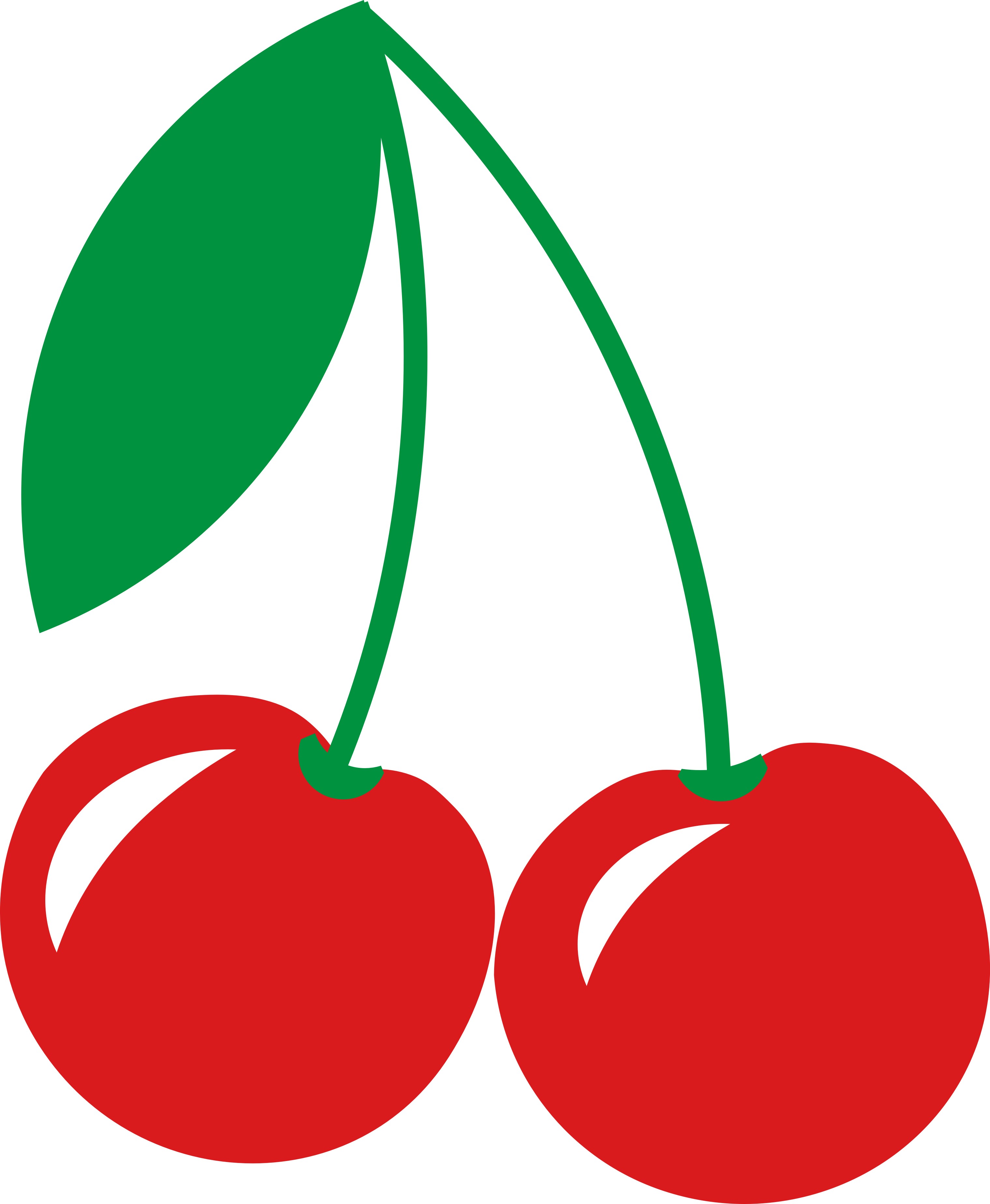 Cherries  vector SVG. ai, PNG. EPS. jpg big size 300 dpiis 