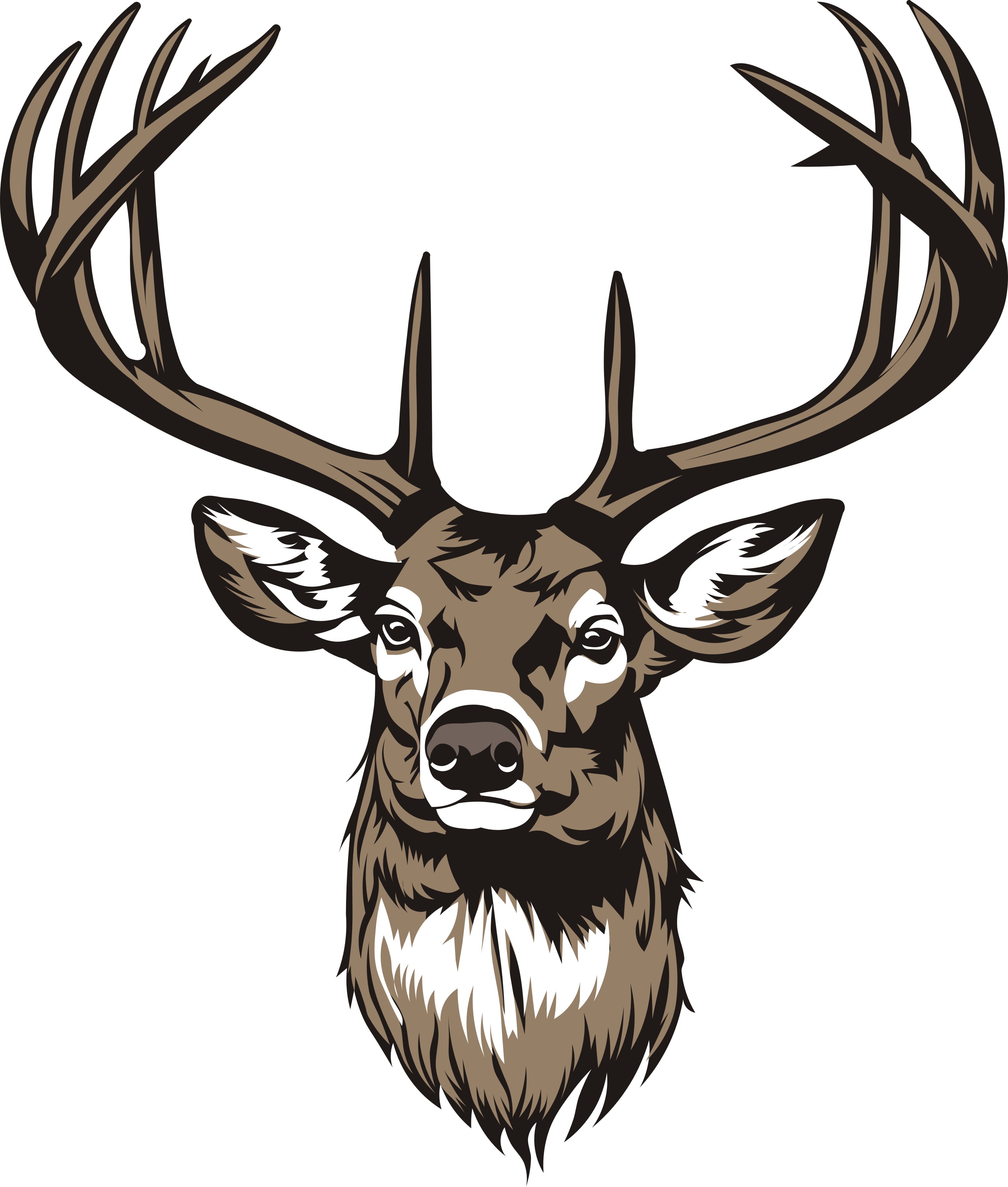 Buck Head Deer SVG. dxf, PNG. EPS. jpg Big Size 300 dpi  