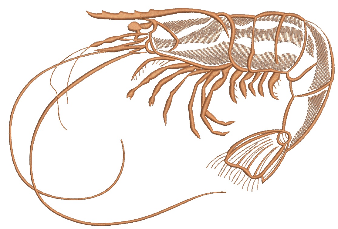 Shrimp Machine Embroidery Design, Seafood Crustacean Vector Pattern 