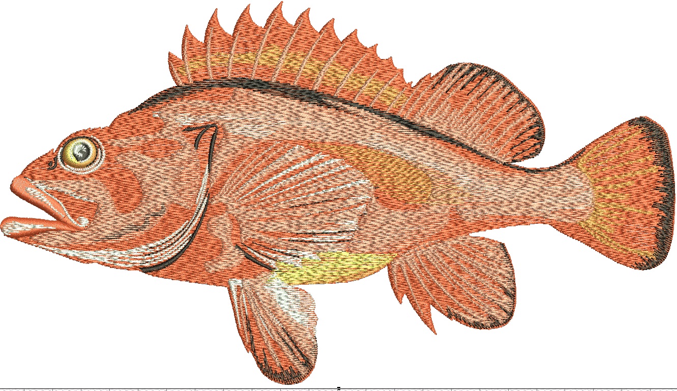 Rougheye Grouper Machine Embroidery Design, Deep Sea Fish Pattern 