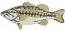 Largemouth Bass ( Micropterus salmoides ) Machine Embroidery Design ? Instant Download Digital File  