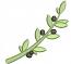 Olive branch Olives, olive oil Machine Embroidery Design, Instant Download 