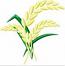 Rice machine embroidery design 