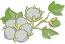 Branch of cotton and leaves machine embroidery design 
