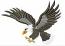  Flying Eagle Machine Embroidery Design 