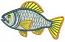 Fish Machine Embroidery Design 