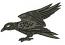 Raven Machine Embroidery Design 