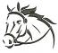 A Horse's Head Machine Embroidery Design 