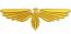 Eagle Machine Embroidery Design 