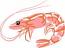 Shrimp vector SVG. dxf, PNG. EPS. jpg big size 300 dpi files 