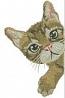 Peeping Cat Machine Embroidery Design 