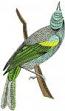 Gray bird on a branch Machine Embroidery Design  