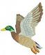 Mallard Duck Machine Embroidery Design 