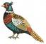 Pheasant Machine Embroidery Design Realistic Colorful Bird 3 Sizes Instant Download PES JEF DST  