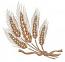 Wheat Spikelets with Ribbon Machine Embroidery Design 4 Sizes 