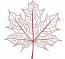 Sugar Maple Leaf Machine Embroidery Design Autumn Fall 4 Sizes 