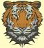 Fierce Tiger Face Machine Embroidery Design 4 Sizes Instant 