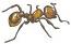 Realistic Ant Machine Embroidery Design - Highly Detailed & Tested - Three Sizes Included 