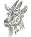 Goat Head Machine Embroidery Design 