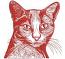 Redwork Cat Machine Embroidery Design, Outline Style, Large Hoop Format