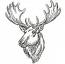 Moose Head Machine Embroidery Design, Sketch Style Forest Animal Pattern, Multi Size Digital File
