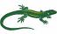 Realistic Lizard Embroidery File for Jacket, Reptile Machine Embroidery Design, Iguana Gecko Digitized Pattern, Animal Embroidery, Hoop Art