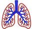 Human Lungs Machine Embroidery Design 
