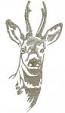 Roe Deer Head Machine Embroidery Design, Wild Animal Portrait Pattern 