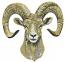 Ram Head Machine Embroidery Design, Wild Mountain Sheep Horns Pattern 