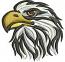 Eagle Head Machine Embroidery Design, Majestic Bird Digital File 