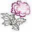 Chinese Peony Flowers 14 Machine Embroidery Eesigns Set