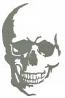 Skull Machine Embroidery Design