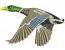 Flying Duck Machine Embroidery Design 